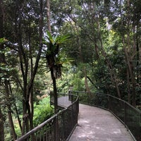 Photo prise au Australian National Botanic Gardens par Auri le11/24/2018