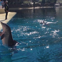 10/30/2012にStephanieがThe Mirage Aquariumで撮った写真