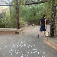 10/8/2023 tarihinde Jesse H.ziyaretçi tarafından Desert Botanical Garden'de çekilen fotoğraf