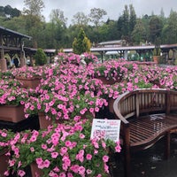 高野尾花街道 朝津味 Farmers Market In 津市