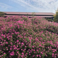 高野尾花街道 朝津味 Farmers Market In 津市