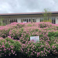 高野尾花街道 朝津味 津市の農産物直売所