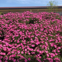 高野尾花街道 朝津味 Farmers Market In 津市