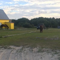 7/1/2017에 Katrin T.님이 Wild Horse Adventure Tours에서 찍은 사진