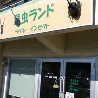 Photo taken at 昆虫ランド by かもめ 5. on 12/9/2012