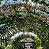 横浜イングリッシュガーデン Yokohamaの庭園 横浜イングリッシュガーデン Yokohamaの庭園