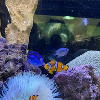 Photo taken at Belle Isle Aquarium by Frankie D. on 2/18/2023
