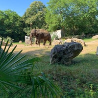 Foto scattata a Zoo de Pont Scorff da Elena B. il 7/8/2019