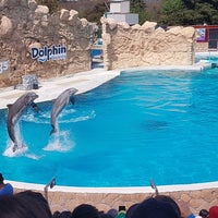Photo taken at Show Delfines by Niel R. on 3/19/2018