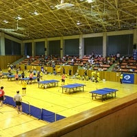 七尾総合市民体育館 39 Visitors