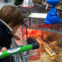 Aveve Garden Center In Mechelen