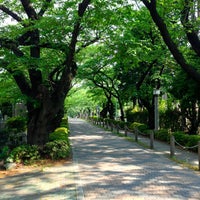 Photo taken at Aoyama Cemetery by fulxus on 5/8/2013