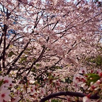 Photo taken at Aoyama Park South District by fulxus on 4/2/2015