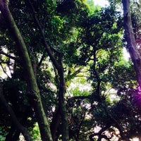 青山公園 南地区 六本木 4 Tavsiye 青山公園 南地区 六本木 4 Tavsiye