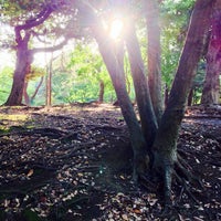 青山公園 南地区 六本木 4個のtips 青山公園 南地区 六本木 4個のtips
