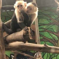 Снимок сделан в Zoo Parque Loro пользователем Olaya C. 10/12/2018