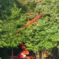 12/15/2016 tarihinde Allen&amp;#39;s Tree Service, Inc.ziyaretçi tarafından Allen&amp;#39;s Tree Service, Inc.'de çekilen fotoğraf