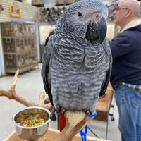 Photo taken at Todd Marcus Birds Exotic by Kelly on 1/26/2020