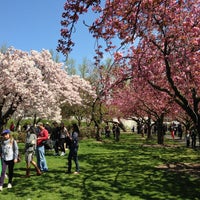 รูปภาพถ่ายที่ Brooklyn Botanic Garden โดย Alejandro R. เมื่อ 4/27/2013