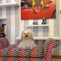 Dluxe pet cheap hotel