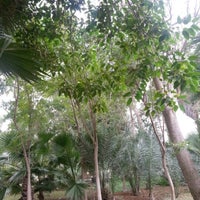 Photo taken at Budaiya  Garden by Bushra R. on 12/26/2012