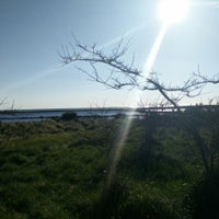 Photos At Spiaggia Delle Saline Di Tarquinia Tarquinia Lazio