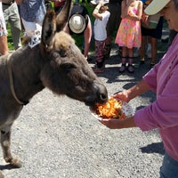 Das Foto wurde bei Primrose Donkey Sanctuary von Chris P. am 8/24/2014 aufgenommen