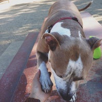 Photo taken at Griffith Park Dog Park by Kellie R. T. on 7/15/2015