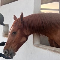 Photo taken at Royalty Equestrian Club by رُبى🐚 on 6/3/2023