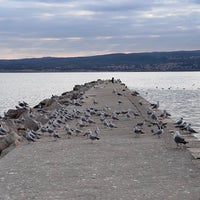 Photo taken at Plaža Podvorska by Gabor I. on 3/14/2022