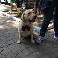 9/20/2015에 Mary Anne님이 Pet Central에서 찍은 사진