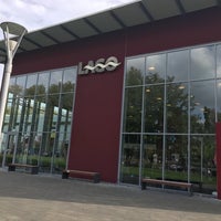 Möse des tages