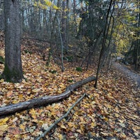 Photo taken at Viikin arboretum by Zhanna T. on 10/29/2023
