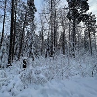 Photo taken at Koskelan ja Veräjämäen metsä by Zhanna T. on 2/1/2022