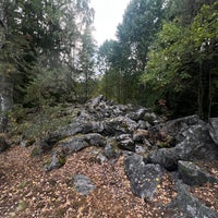 Photo taken at Koskelan ja Veräjämäen metsä by Zhanna T. on 8/29/2022