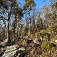 Photo taken at Viikin arboretum by Zhanna T. on 3/13/2022