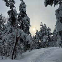 Photo taken at Koskelan ja Veräjämäen metsä by Zhanna T. on 2/23/2022