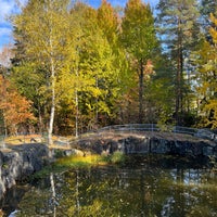 Photo taken at Koskelan ja Veräjämäen metsä by Zhanna T. on 10/1/2022