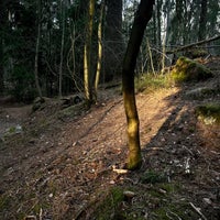 Photo taken at Koskelan ja Veräjämäen metsä by Zhanna T. on 5/2/2022