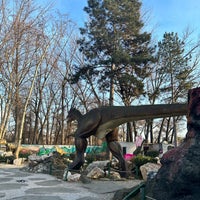 Photo taken at Skopje Zoo by Aylin L. on 2/5/2024