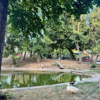 Photo taken at Skopje Zoo by Aylin L. on 9/4/2023