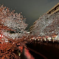 Photo taken at 宝来橋 by strollingfukuD on 3/25/2023