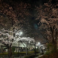 Photo taken at 前谷津川緑道 by strollingfukuD on 3/27/2022