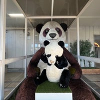 Photo taken at Giant panda by strollingfukuD on 12/23/2022