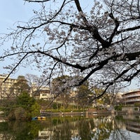 Photo taken at Mitsugi Park by strollingfukuD on 3/30/2024