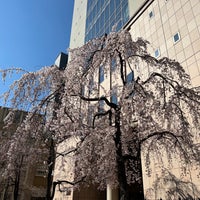 Photo taken at 共立女子大学・短期大学 by strollingfukuD on 3/23/2022