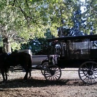 eds buggy rides