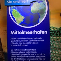Photo taken at SEA LIFE München by Annie A. on 4/21/2023