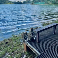 Photo taken at MacRitchie Reservoir by Annie A. on 1/28/2024