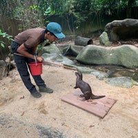 Photo taken at Otters@ Zoo by Annie A. on 2/16/2020